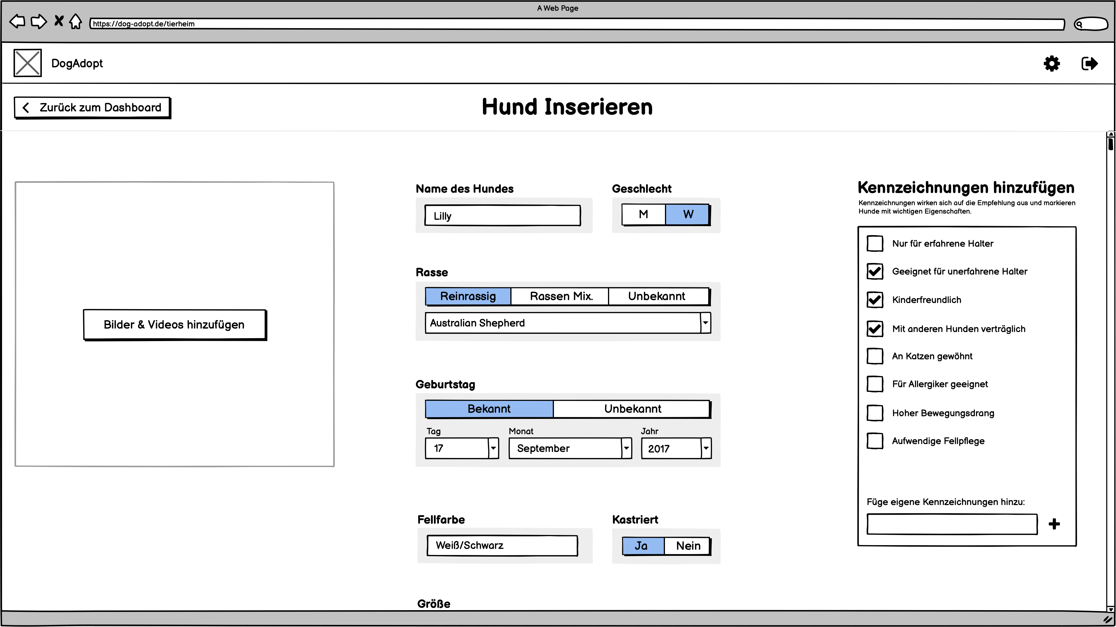 Inseration Page